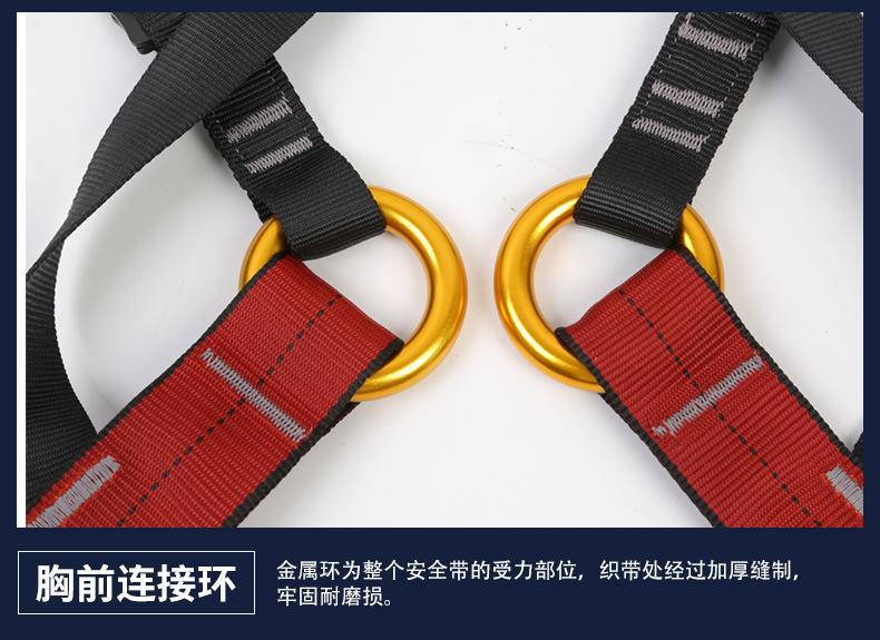 XD-A9510儿童安全带-阿里_08.jpg