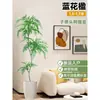 Planta Viva Jacaranda Sala de Estar Planta Grande en Maceta Interior Fácil de Mantener de Pie Flor Real Paisaje Jardinería para Absorber Formaldehído