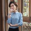 Camisa Azul de Manga Larga 2023 Primavera y Verano Nueva Ropa de Mujer Profesional Entrevista Front Office Bancario Adelgazante Ropa de Trabajo Top
