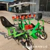 Trasplantadora de plántulas de frutas y verduras tipo montura, Trasplantadora de plántulas totalmente automática, Máquina para plantar plántulas en invernaderos de hortalizas