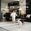 Alfombra de Estilo Minimalista Italiano para Sala de Estar y Dormitorio, Cobertura Completa, Impermeable, Antideslizante, Silenciosa, Lujo Ligero, Sensación de Alta Gama, Alfombra Personalizable