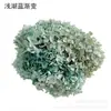 Flores de Hortensia Secas con Degradado Grande Hortensias Conservadas Cabezas de Flores Grandes Color Mixto Multicolor Hortensias Secas Decoración del Hogar Materiales Florales