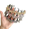 Diadema Exquisita de Estilo Coreano con Ola de Pedrería de Caña Alta para Mujeres con Dientes, Diadema Antideslizante para Lavarse la Cara, Pasador, Diadema