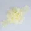 AliExpress Venda Quente Comércio Exterior Acessórios de Cabeça Infantil Tela Dupla de Renda Flor com Elástico Colorido para Cabelo 13 Cores