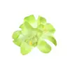 Nuevo producto: 3 Pinzas para el Cabello de Orquídea, Accesorios para el Cabello de Flores Artificiales Estilo Bohemio, Pinzas para el Cabello Estilo Hawaiano para Vacaciones en la Costa para Mujeres