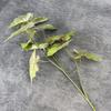 Película 3D Simulada Lluvia de Primavera Hojas Boda Decoración del Hogar Arreglo Plantas Verdes Hojas de Cala Adornos de Flores Artificiales Transfronterizos Venta al por Mayor