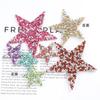 Zhao Shun Pentagrama Colorido Strass Pasta Adesivo Hot Melt Resina Broca Figura DIY Sapato Bolsa Roupa 4cm Estrelas de Broca