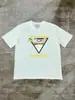 Camiseta de Algodão Puro 230g com Estampa Digital Casa Levemente Luxuosa, Pesada e Amiga da Pele para Vendas Transfronteiriças de E-commerce Independente, Manga Curta