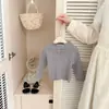 Novo suéter de bebê estilo coreano para meninas, camisa base estilosa com gola de renda, malha versátil para outono e inverno para bebês e crianças pequenas