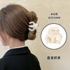 Presilha de Cabelo Estilo Jinchen tamanho pequeno Artefato Fixo para Rabo de Cavalo Alto Acessório Simples Fosco Feminino Estilo Coreano Pequeno Clip de Garra