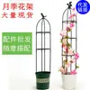 Enrejado para Clematis Trepador, Soporte para Flores de Rosa, Soporte para Plantas Trepadoras de Jardinería, Estructura de Soporte Trepador para Balcón, Soporte para Flores Estilo Europeo