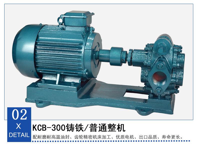 KCB300齿轮泵_02