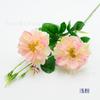2 cabeças Rosa Lefy ramo único decoração de mesa flor artificial arranjo de flores para casamento loja paisagismo layout flor cruzada venda quente transfronteiriça