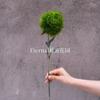 Clavel verde planta simulación tacto bola de pelo verde alta calidad suave planta verde floral decoración del hogar boda planta verde