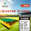 Envío Gratis Pedal de Resorte en Forma de S Artes Marciales Ayuda para Volteretas Tablón de Salto Pista y Campo Gimnasia Niños Entrenamiento de Salto de Longitud Voltereta Lateral Danza