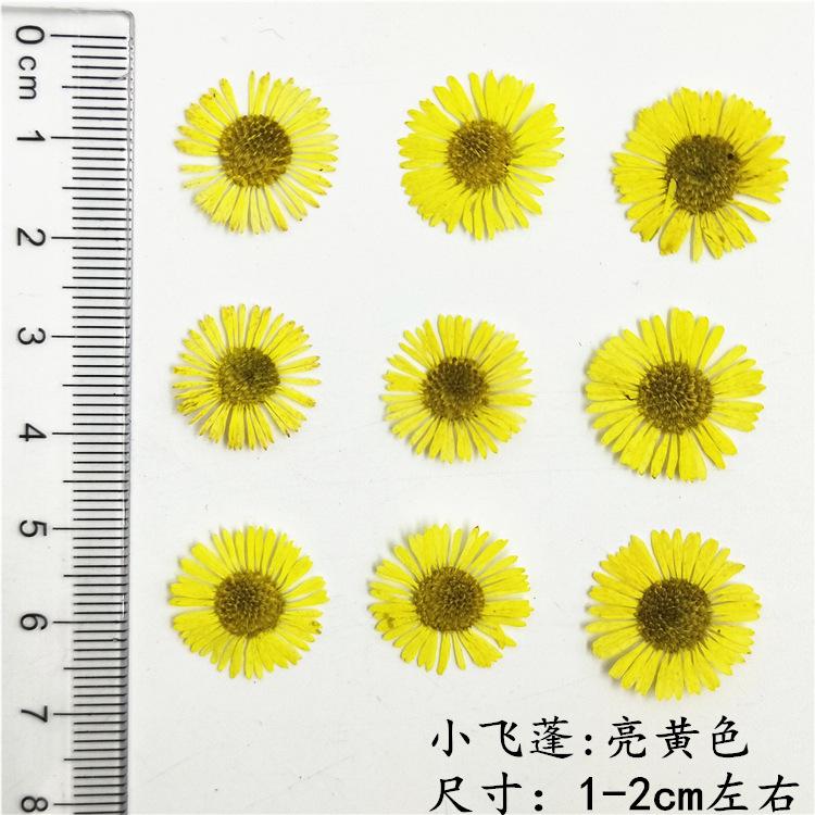 IMG20190111110121