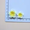 Accesorios de resina de plumeria de dos colores morado y dorado, pegamento en crema, funda de teléfono móvil DIY, agujero decorativo, caja de almacenamiento de zapatos, parche