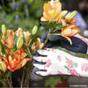 Kit de Cultivo de Flores Cuidado de Flores Cortadas Pelador de Espinas Guantes de Jardinería Tijeras para Flores Cubo Grande para Flores Conservante