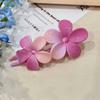 Horquilla de Flores Degradadas para Mujer Flequillo Lateral Pinza de Pico de Pato Tiara Dulce Linda Clip para Cabello Roto Horquilla