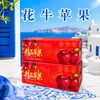 Maçã Huaniu de Tianshui, Gansu, Maçã Vermelha Huaniu, Presente de Feriado, Produtos de Ano Novo, Caixa de Presente Para Presentear, Compra em Grupo, Visita a Parentes de Negócios