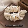 Pinza de Malla Burbuja de Nube Estilo Coreano para Mujer Nuevo Pinza Tiburón Pluma Grande de Gama Alta Pinza para Cabello Negra de Celebridad de Internet