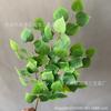 Folhas de Eucalipto Mori Cor de Outono Folhas de Pimenta Verde de Casamento Decoração Planta Artificial Folhas Falsas Cor a Óleo Árvore Artificial Props de Engenharia Folhas