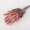 Flor de Emperador Artificial, Flor de Princesa Sudafricana, Arte Floral Decorativo, Arreglo Floral Eterno, Ramo de Compromiso al por Mayor, Flores Artificiales para Comercio Transfronterizo