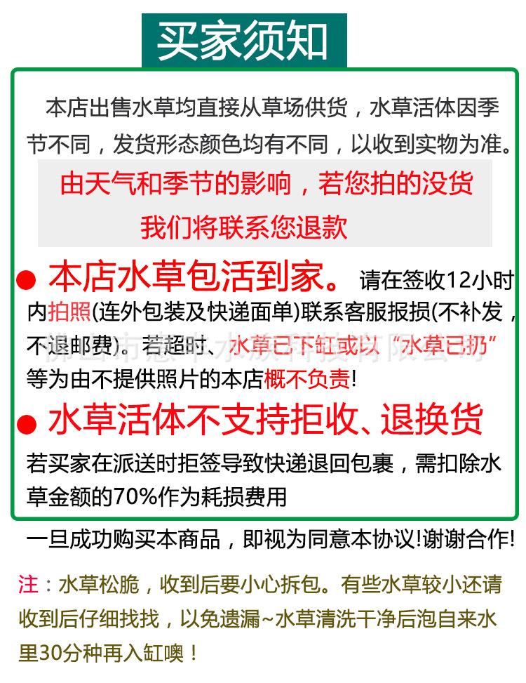 买家须知.jpg