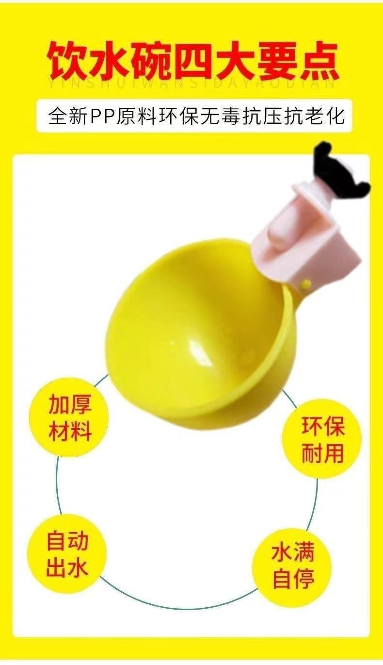 详情 (4).jpg