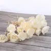 Varillas Difusoras de Aroma de Flor de Tongcao Hechas a Mano, Ratán Curvado Difusor de Incienso sin Llama DIY con Flores Secas, Líquido de Recarga para Aceites Esenciales