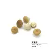Virutas de Madera Cáscara de Nuez Material Planta Taibao Especimen Piña de Pino Paquete de Materiales de Flores Secas DIY Chen Mai Hecho a Mano Bellota Seca Marco de Fotos