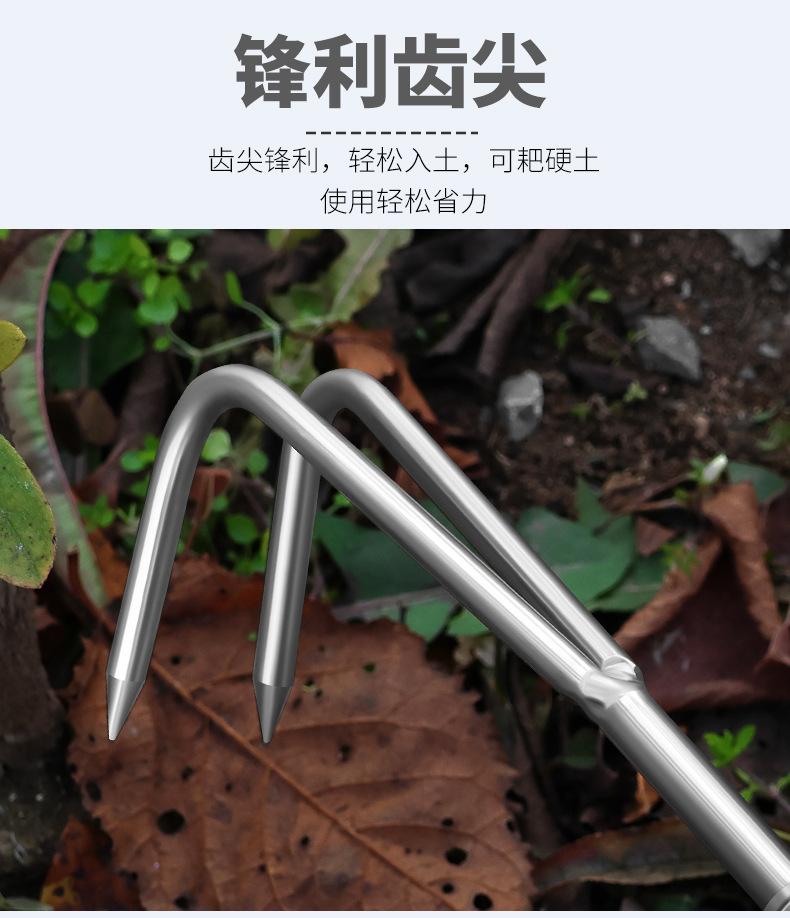 园艺耙 (6).jpg