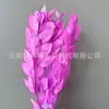 Arranjo de flores eternas folha laranja com ramos de folhagem, materiais florais DIY com toque de alta qualidade, atacado de fabricante de Yunnan, decoração de flores eternas