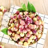 Pimentas de Sete Cores de Guangxi Frescas 2,5kg Pimentas Frescas, Pimentas Coloridas, Pimentas em Conserva, Pimentas Lanterna Pequena, Pimentas de Arroz, Frete Grátis Especialidade