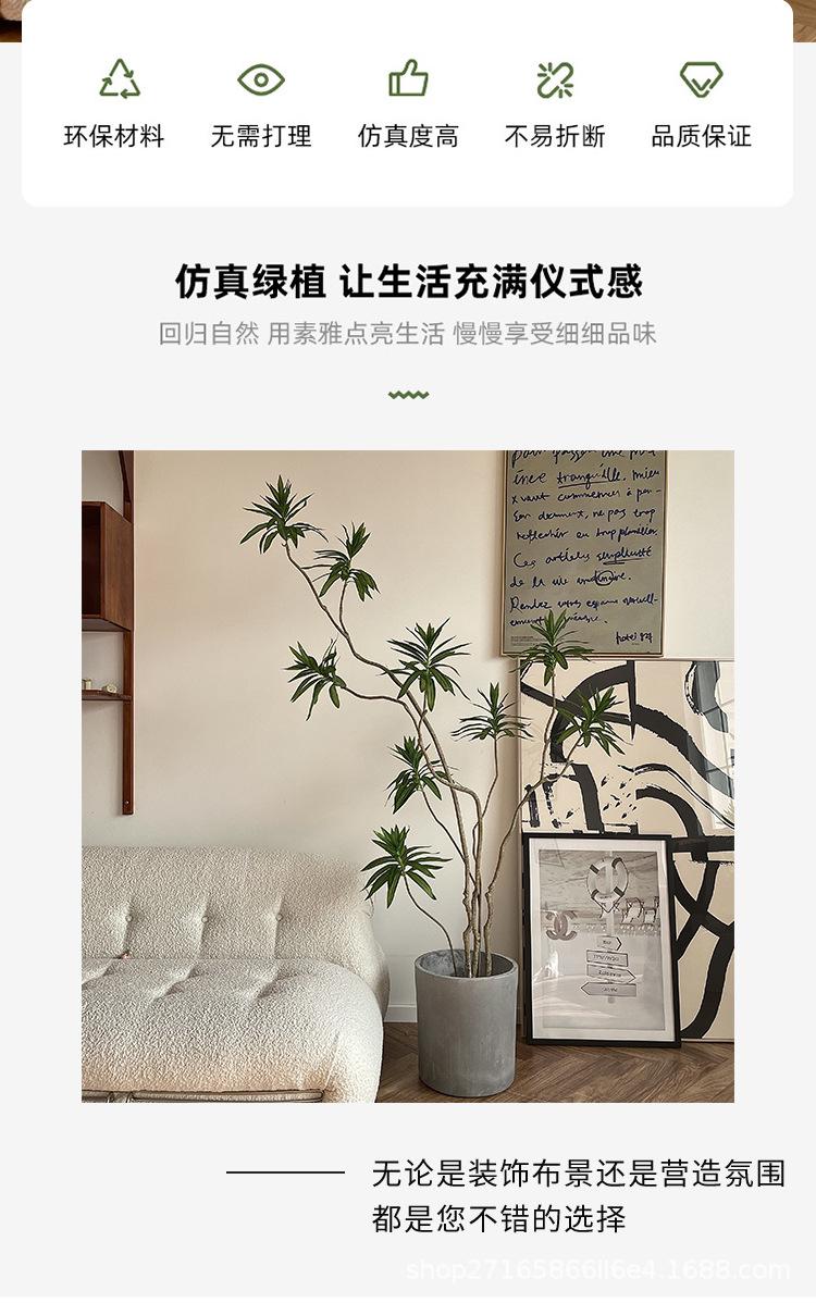 详情_02.jpg