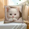 Funda de Almohada de Gato Temu Transfronteriza Animal Lindo Infantil Gato Dormitorio Hogar Sofá Funda de Cojín Decorativa Venta al por Mayor