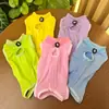 Ropa de Esterilización para Gatos Suministros para Mascotas Ropa Postoperatoria Anti-Lameduras y Mordeduras Suave Súper Elástica Gato Azul British Shorthair Ropa para Gatos Fábrica Mayorista Ropa para Gatos