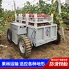 Vehículo de Transporte Todo Terreno con Control Remoto y Tracción en las Cuatro Ruedas, Vehículo de Transporte Agrícola para Huertos de Montaña, Vehículo de Transporte Eléctrico, Vehículo de Transporte de Escalada