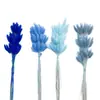 Hierba de Cola de Conejo Seca, Flores Preservadas, Materiales para Ramo de Flores Secas Transfronterizo, Accesorios para Fotografía, Hierba de Cola de Zorro Colorida, Venta al por Mayor de Fábrica