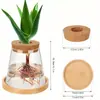 Vaso de vidro de planta hidropônica criativa transparente simples aumento de água verde rosa decoração de recipiente sala de estar enfeites de flores de mesa