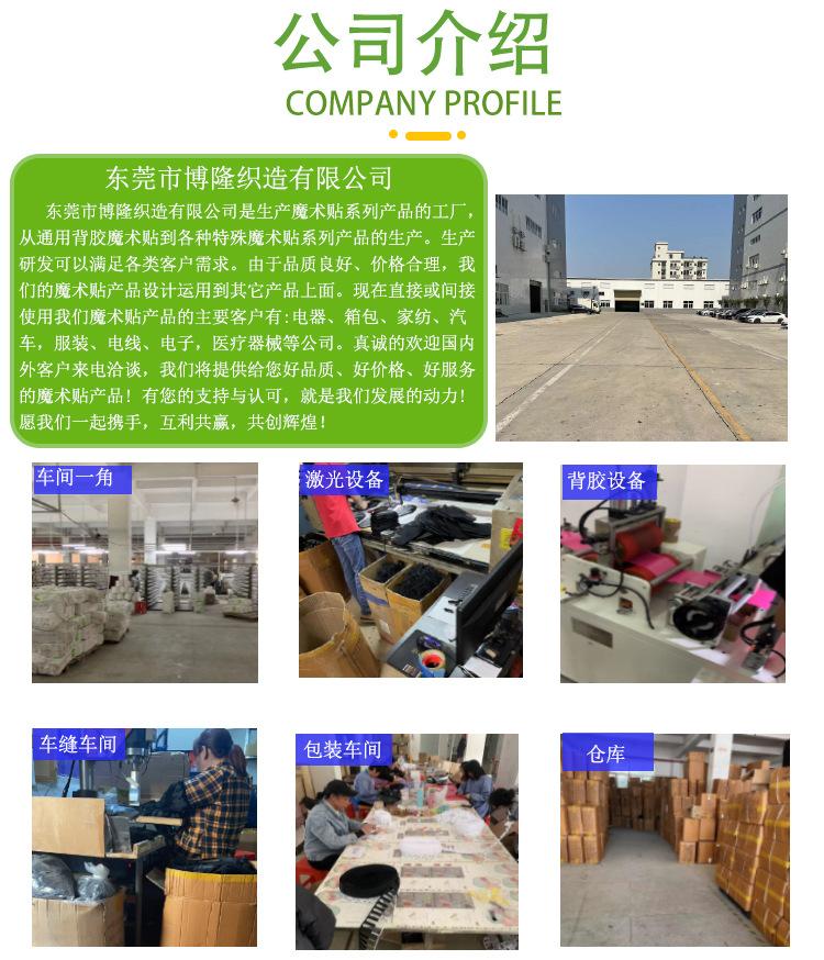 公司介绍
