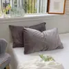 2025Funda de Almohada de TerciopeloFunda de Almohada de Terciopelo Artículo Individual Funda de Almohada Color Sólido Cálida y Suave Artículo Individual Funda de Almohada
