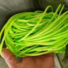 Venda Direta de Fábrica Corda Paracord de 7 Fios e 4mm Multifuncional para Emergência de Sobrevivência ao Ar Livre Corda Trançada Suprimentos Paracord Cordão Tecido à Mão