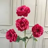 4 Flores de Peonía Marroquí Artificiales para Decoración de Bodas, Arreglos Florales, Decoración Suave para Exteriores y Paisajismo