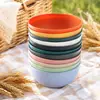 Tazón para Fideos Instantáneos de Paja de Trigo, Juego de Platos y Tazones Resistente a Roturas, Tazón de Sopa de Plástico Transfronterizo, Vajilla de Platos y Tazas de Alto Valor, Platos de Cena al por Mayor
