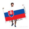 Tamaño de pie al por mayor 3*5 pies 90*150 cm Bandera de Eslovaquia bandera de poliéster soporte