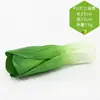 Venta al por mayor directa de fábrica de todo tipo de verduras de tacto de alta simulación PU verduras falsas PU simulación pepino col
