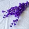 Linterna de Flores Preservadas Ramo de Flores Secas Frutales Carrillón de Viento Fabricante de Frutas Venta al por Mayor Decoración de Arreglo Floral para Hogar Hotel Casa de Huéspedes Boda