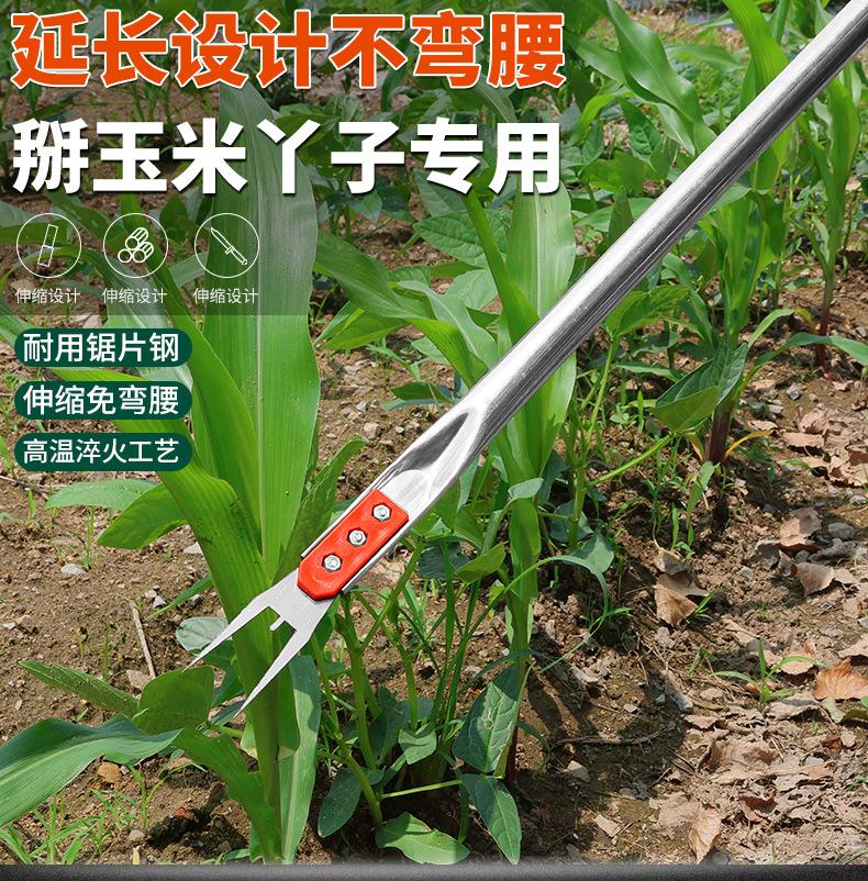 详情_01.jpg