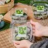Caja de Empaque Transparente para Dumplings Verdes, Pasteles de Arroz Pegajoso, Set de 4 Piezas, Canasta Portátil de Ampolla, Bandeja de Frutas para Empaque de Picnic